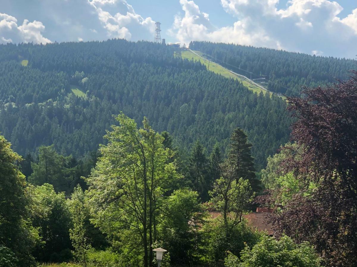 Berghotel Harz Goslar Bagian luar foto